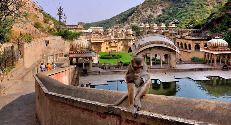 Jodhpur: tour a piedi della città blu