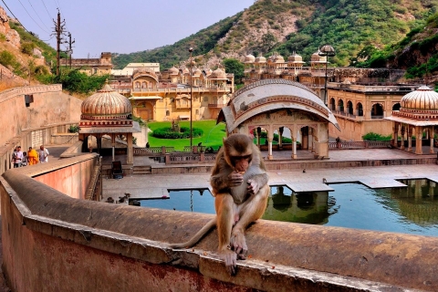 Jodhpur: piesza wycieczka po Blue City