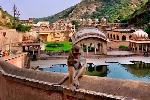 Jodhpur: Tour a piedi della città blu