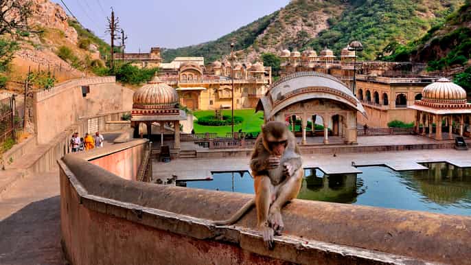 jodhpur blue city walking tour