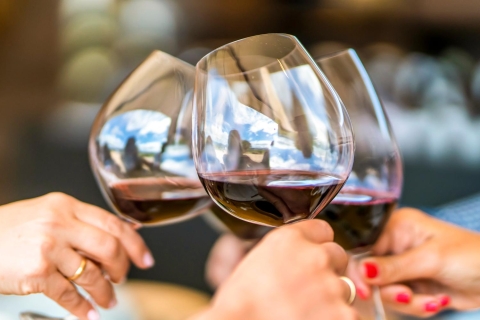 Santiago: Private Halbtagestouren der wichtigsten chilenischen WeingüterPrivate Halbtagsweinkellerei Santa Rita