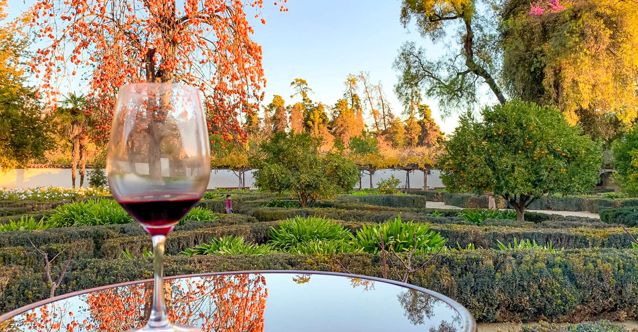 Santiago, Principales caves chiliennes Visites privées d'une demi-journée - Hizvo