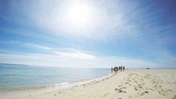 magawish and giftun islands fullday snorkeling trip