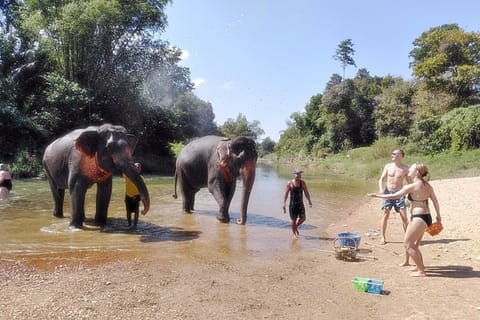Khao Sok: Private Elephant Day Care and Bamboo Rafting