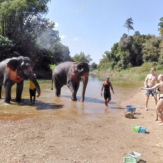 Khao Sok: Elefanten-Pflege & Bambus-Floß - Private Tour