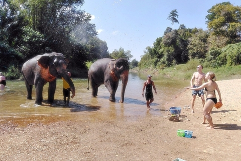 Khao Sok : visite privée avec soins des éléphants et raftingPrise en charge à Khao Lak