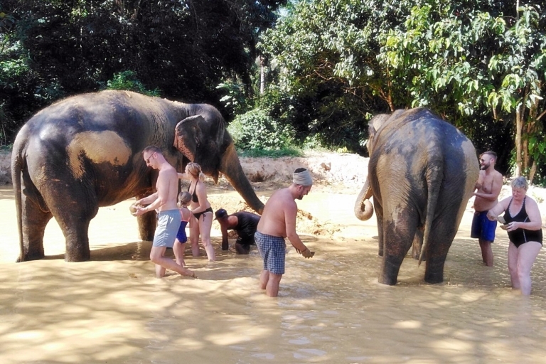 Khao Sok: guardería privada de elefantes y rafting en bambúRecogida en Khao Lak