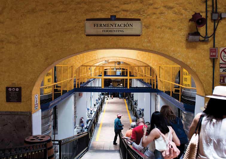 From Guadalajara Jose Cuervo Distillery & Tequila Town Tour GetYourGuide