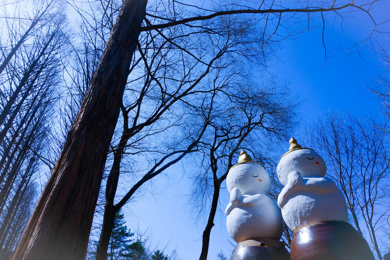 Seoul: Eobi Ice Valley &amp; Nami Island &amp; Railbike (opt.Garden)Shared Tour with Garden - Meet at Myeongdong Station