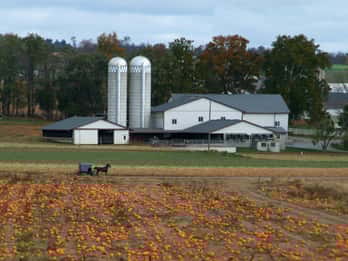 Lancaster: Amish Film-, House- und Farmland-Erfahrung Lancaster: Amish Film-, House- und Farmland-Erfahrung