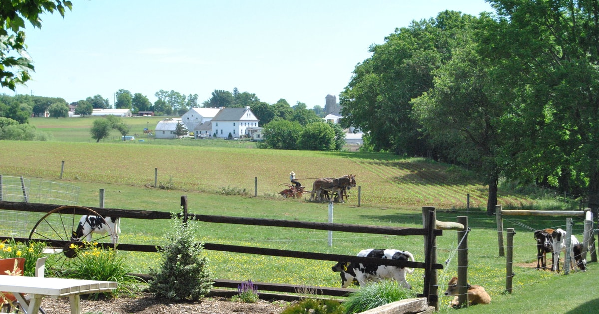 Lancaster Amish Experience VisitinPerson Tour of 3 Farms GetYourGuide