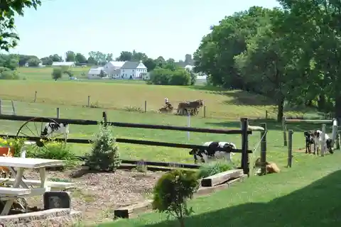 Lancaster: Amish Experience Visit-in-Person Tour of 3 Farms