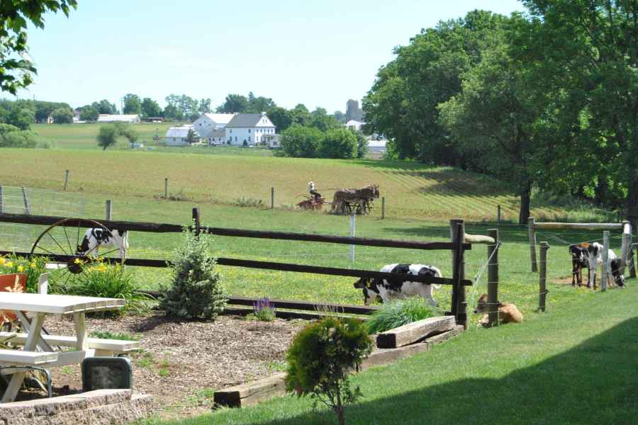 Lancaster: Amish Experience Besuchstour auf 3 Bauernhöfen. Foto: GetYourGuide