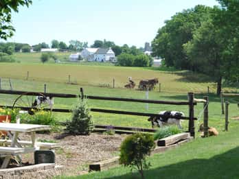 Lancaster: Amish Experience Besichtigung einer persönlichen Tour durch 3 Farmen Lancaster: Amish Experience Besichtigung einer persönlichen Tour durch 3 Farmen