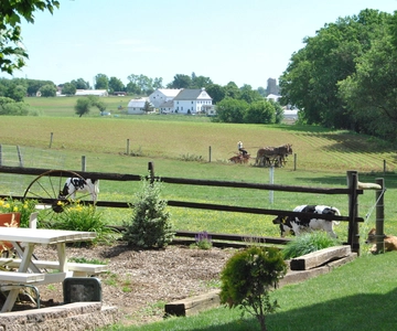 Lancaster: Amish Experience Besuchstour auf 3 Bauernhöfen