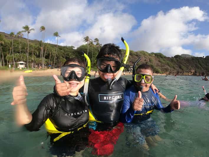 Oahu Hanauma Bay Guided Snorkel Tour GetYourGuide