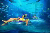 Dubai, Atlantis Aquaventure Waterpark -Zulassungskarte - Housity