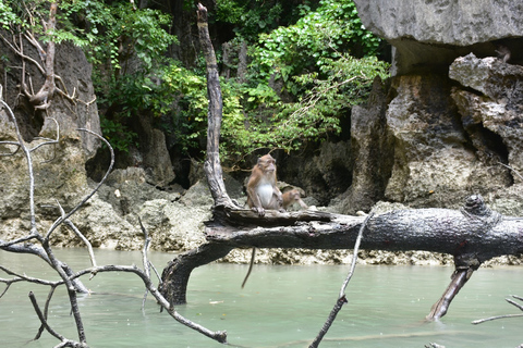 Phuket: día en la aventura de kayak en las islas