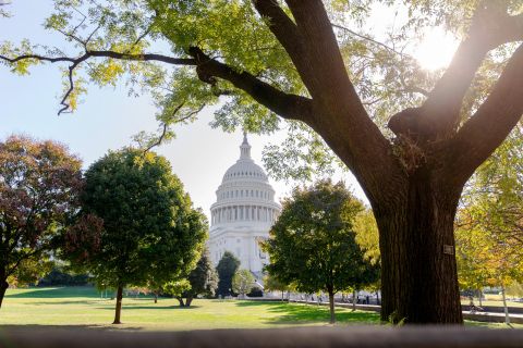Washington DC: tour guidato in autobus dei monumenti e archivi nazionali