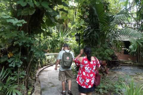 Nassau: Cultural Walking Tour of Downtown Nassau
