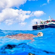 Cairns: Great Barrier Reef Premium Snorkel, Dive & Culture