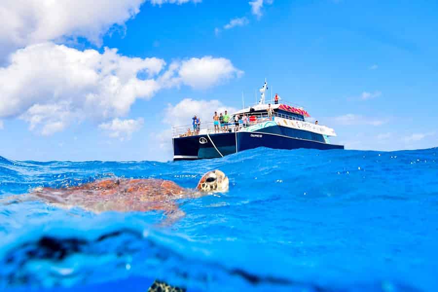 Cairns: Great Barrier Reef - Premium-Schnorcheln, Tauchen & Kultur. Foto: GetYourGuide Cairns: Great Barrier Reef - Premium-Schnorcheln, Tauchen & Kultur. Foto: GetYourGuide