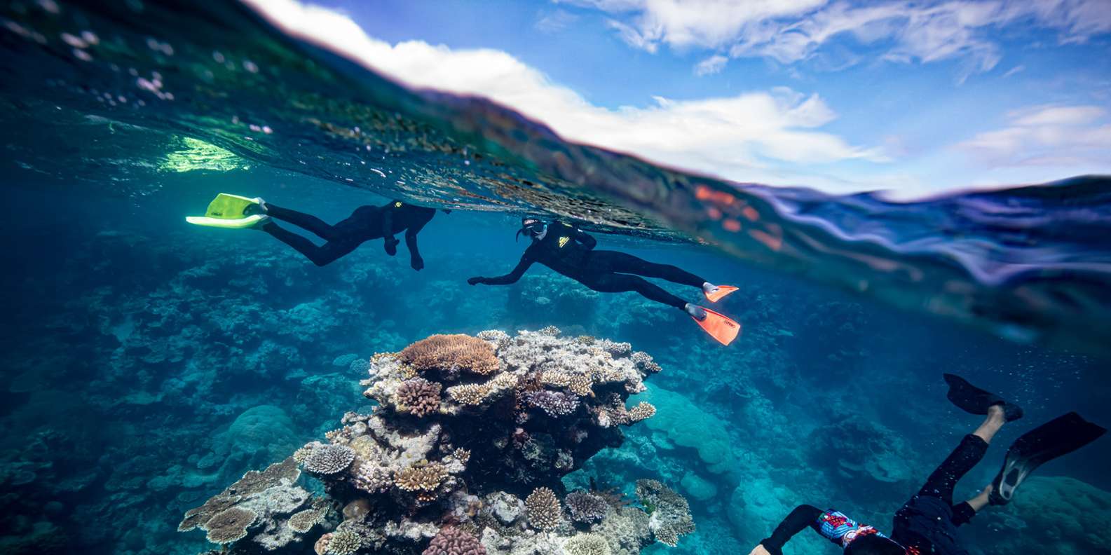 Cairns: Great Barrier Reef Premium Diving Full Day Tour