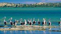 Goolwa, Murray River Cruise - Housity