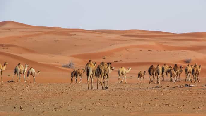 alhajar mountains private safari with sunset bbq dinner