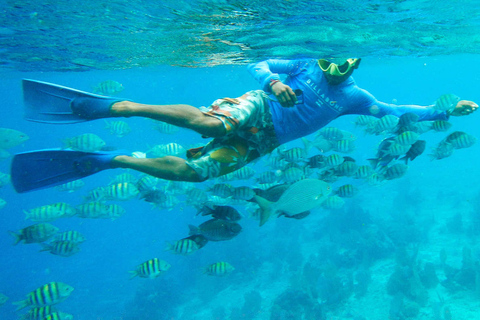 De Cancún: Passeio de mergulho com snorkel em CozumelDe Cancún: Excursão de 1 Dia c/ Snorkel em Cozumel