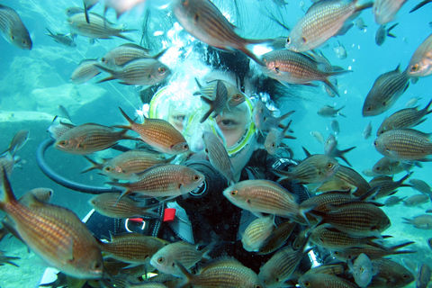 Oia: 2 Guided Scuba Dives off Santorini for Certified Divers