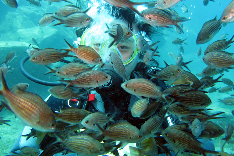 Oia: 2 Guided Scuba Dives off Santorini for Certified Divers