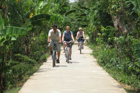 Ho Chi Minh City: Mekong Delta Day Tour to My Tho & Ben Tre