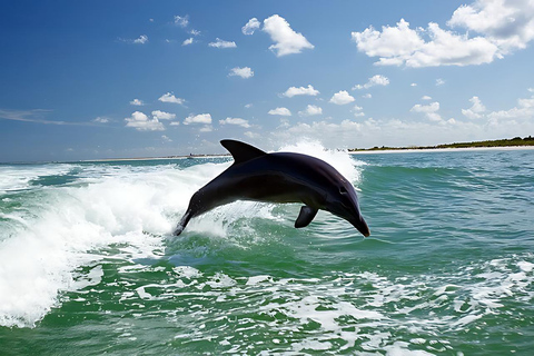 Dolphin Island Tour with Lunch, Swim & Foam Party