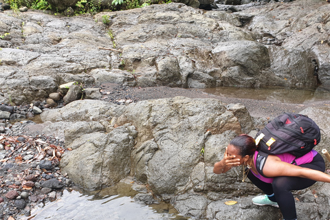 Kingstown: Escursione al vulcano La SoufriereKingstown: escursione al vulcano La Soufriere