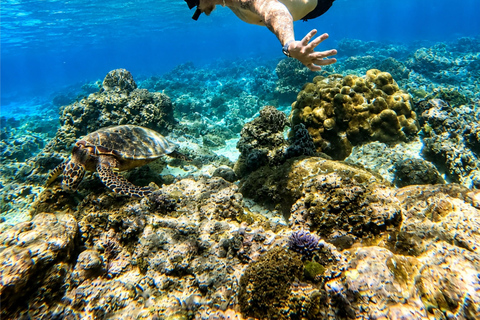 Gili Air: Private 4-Hour Snorkeling Tour