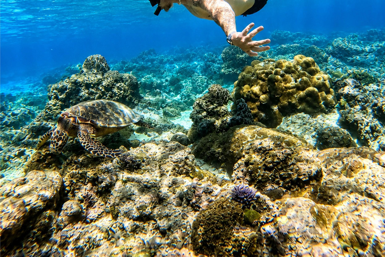 Gili Air: Private 4-Hour Snorkeling Tour
