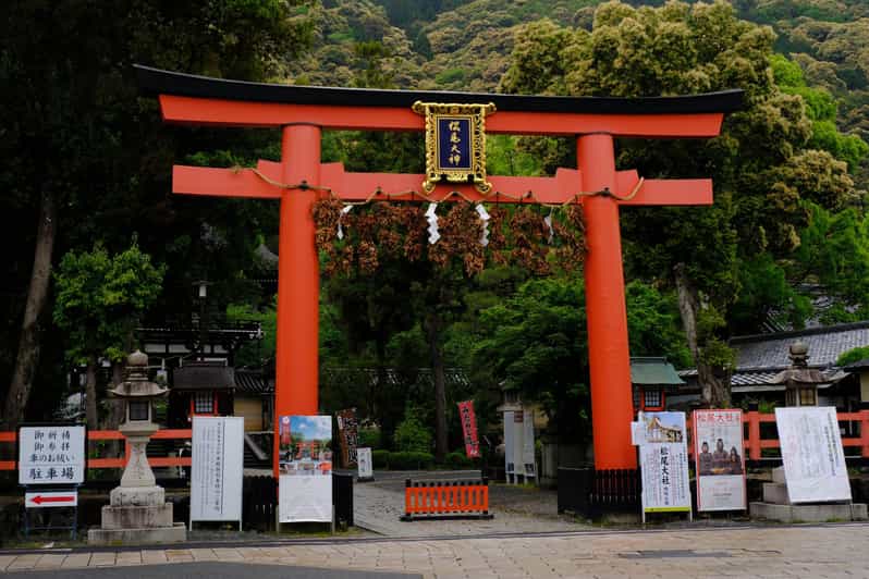 Kyoto: The Forest Within the Gate: Shiffert, Edith, Einarsen
