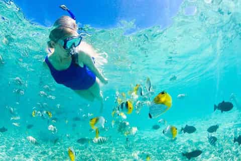 Colombo: Bentota Snorkeling Experience