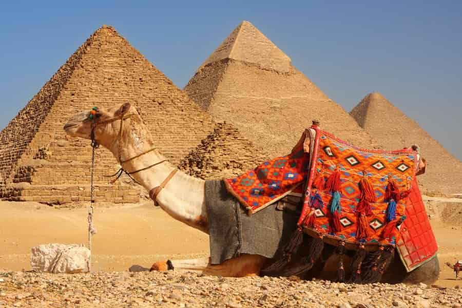 Hurghada: 2-tägiger Trip nach Kairo mit Pyramiden und dem Großen Ägyptischen Museum. Foto: GetYourGuide Hurghada: 2-tägiger Trip nach Kairo mit Pyramiden und dem Großen Ägyptischen Museum. Foto: GetYourGuide