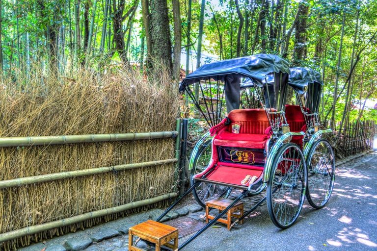 Z Osaki/Kioto: Wycieczka do Arashiyama, parku Nara i świątyni FushimiWylot z Osaki