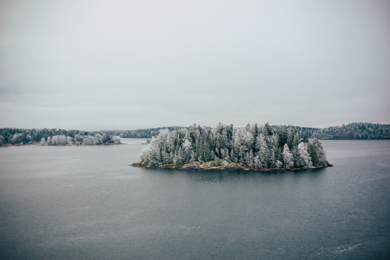 Stockholm : kayak d'hiver de 3 heures et expérience Fika