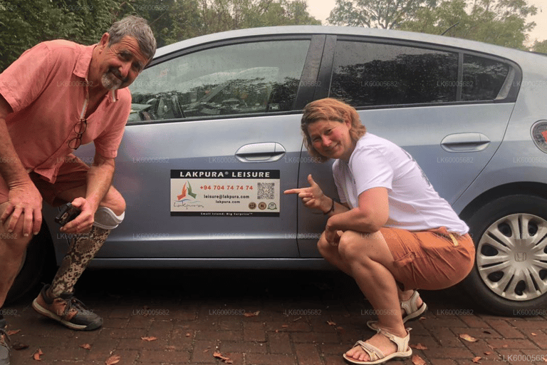 From Colombo: Private Transfer to Hambantota with Stops