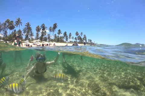 from salvador praia do forte guarajuba and project tamar
