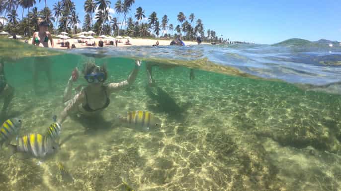 from salvador praia do forte guarajuba and project tamar