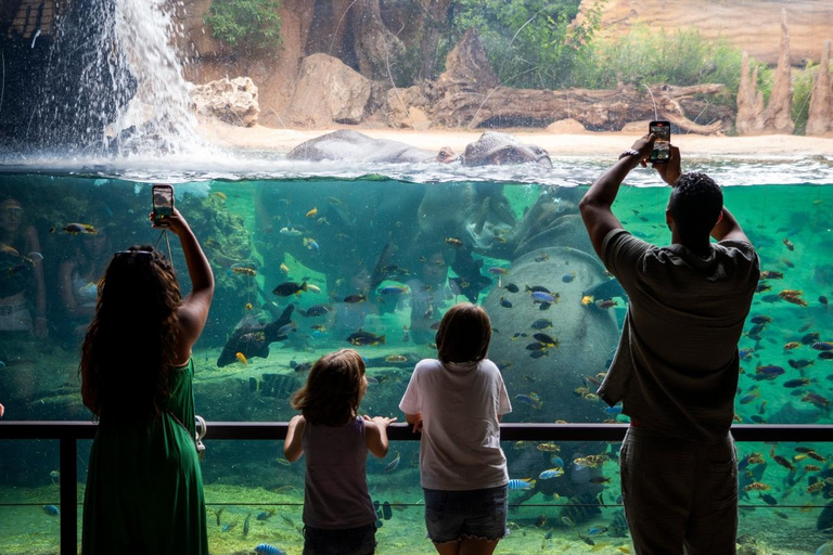 Walencja: Bilet wstępu do Bioparc Valencia