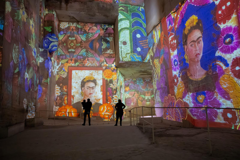 Les Baux-de-Provence: Carrières des Lumières Picasso-Frida Kahlo ticket