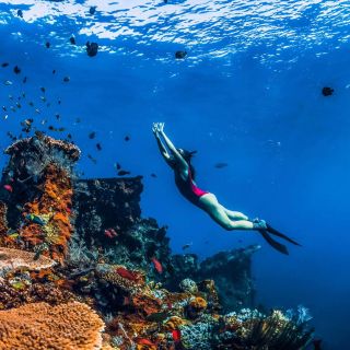Amed: Snorkeling Trip to the Japanese Shipwreck