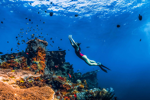 Amed: snorkeltrip naar de Japanse scheepswrakSnorkeltour met kleine groepen