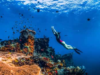 Amed: Schnorcheltrip zum japanischen Schiffswrack